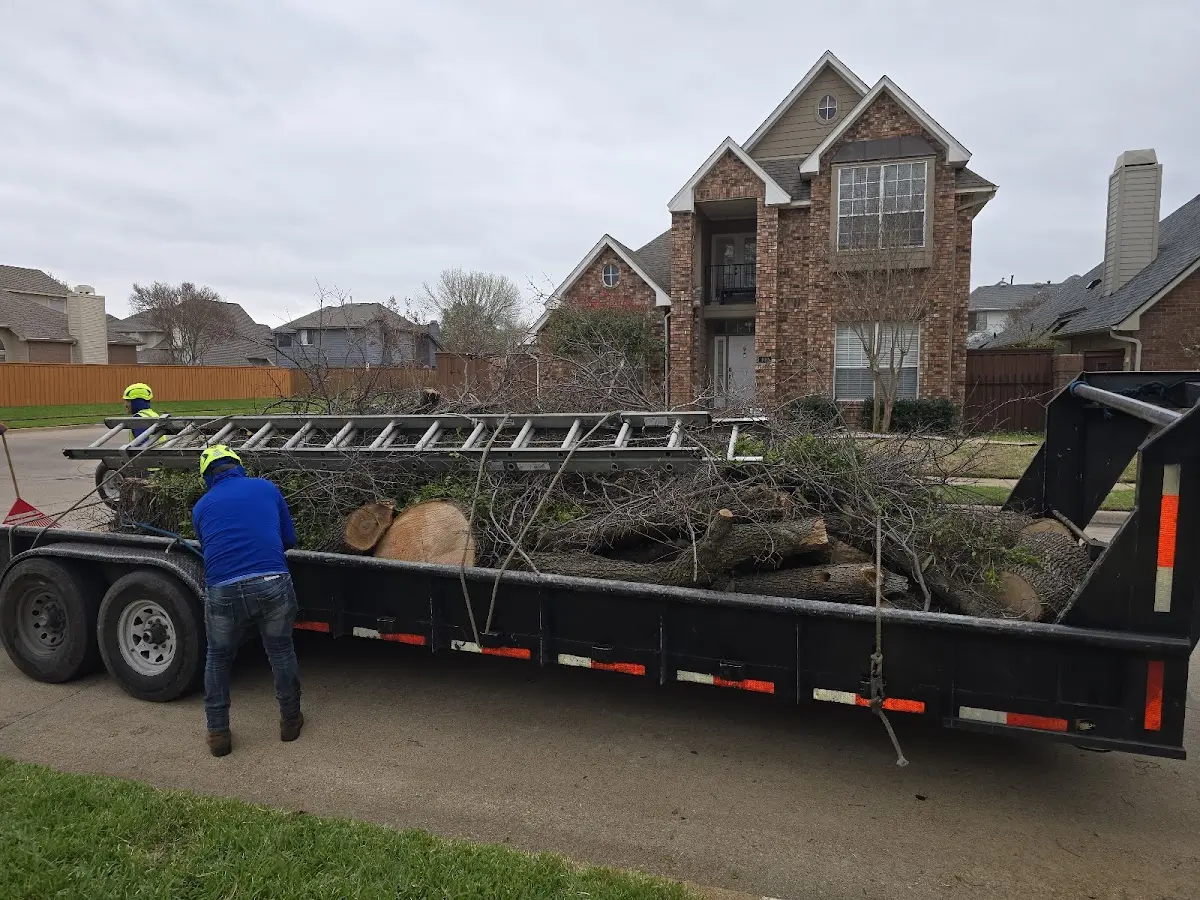 Expert Tree Pest Control with proper safety equipment in Wheaton
